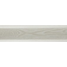 Плінтус Salag (Салаг) NGF56 G0 Дуб арктичний