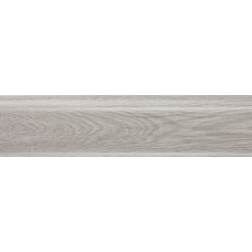 Плінтус Salag (Салаг) NGF56 G8. Gladstone grey