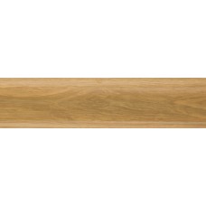 Плінтус Salag (Салаг) NGF56 H6. Gladstone brown